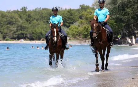 Horse Riding Tour in Antalya, on the Beach and in the Forest