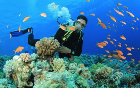 Scuba Diving Tour