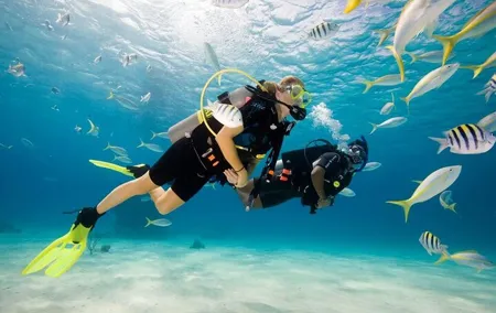 Diving Tour from Antalya or Kemer with Lunch