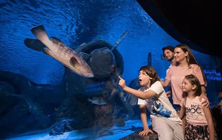 Antalya Aquarium with Entrance and Roundtrip Transfer from Alanya