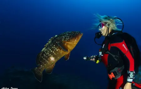 Learn to Dive PADI Open Water Diver Course