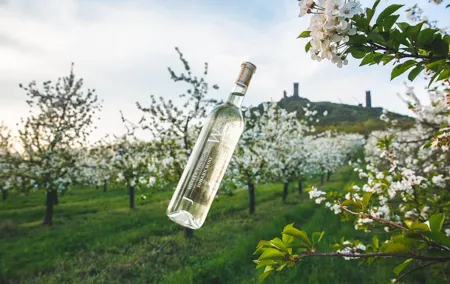 A delightful wine tasting in the scenic countryside with lunch