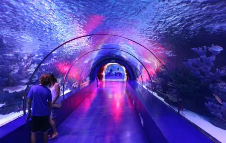 Full Day Antalya Aquarium & Gold Centre Visit with Old Town Tour