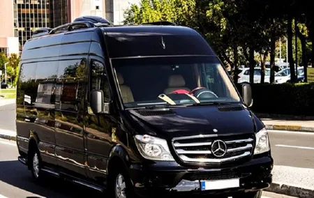 Antalya Airport (AYT) to Gundogdu Transfer - Private Minibus