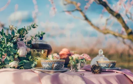 Afternoon Tea at Konopiště Castle:Taste of Aristocratic Tradition