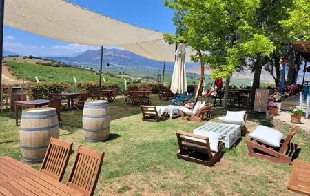 Arykanda and Likya Winery Tour A Blend of History and Wine