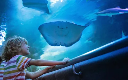Antalya Aquarium Old Town Half-Day Tour with Gold Centre Visit