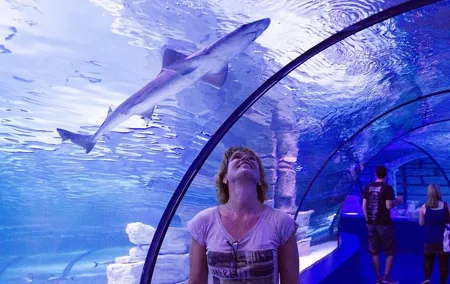 Half Day Antalya Aquarium Tunnel from Side