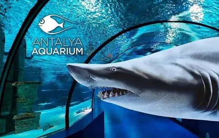 Antalya Aquarium Wax Museum, Snow World, Wild Park & XD Cinema
