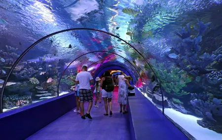 Antalya Aquarium Tour with Entrance and Transfer from Kemer