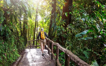 Khao Yai National Park Full-Day From Bangkok - Including Ticket