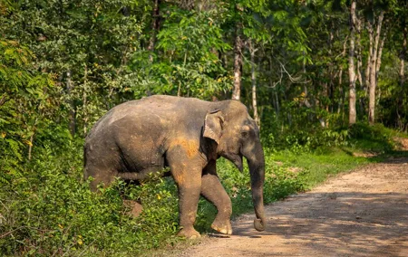 2-Days Private Tour: Kui Buri Wildlife Safari & Sam Roi Yod National Park