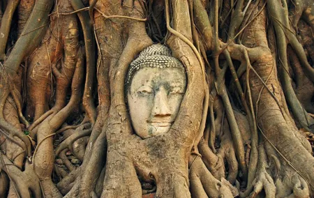 Bangkok 5 Days 4 Nights Full - Transfers + 3 Excursions
