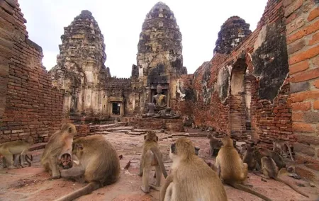 Private tour to Ayutthaya and Lopburi Monkey Temple (from Bangkok)