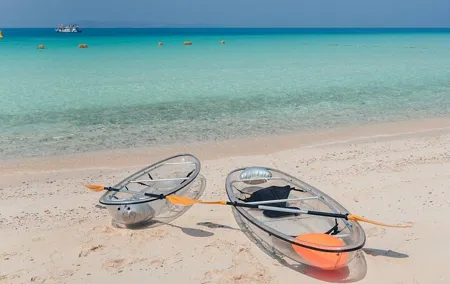 From Bangkok : Pattaya Island Trip with Activities & Drone Photo