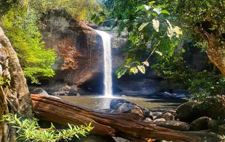 Khao Yai Waterfalls and Wilderness Private Chartered Tour