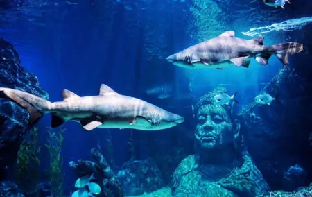 SEA LIFE Bangkok Ocean World Ticket
