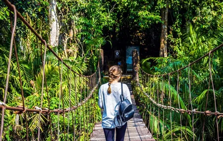 Khao Yai National Park Full Day Tour from Bangkok