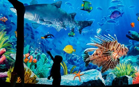 Sea Life Bangkok Ocean World Tickets
