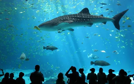 SEA LIFE Ocean World at Bangkok Admission Ticket