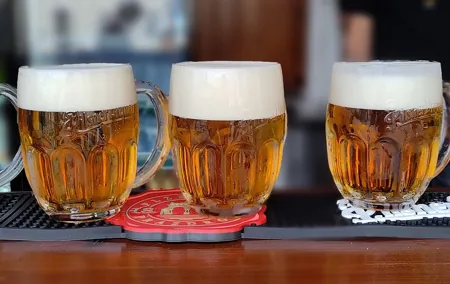 Private Full Day Tour: Pilsner Urquell Brewery + Beer Museum