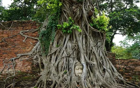 Discover UNESCO World Heritage Sites - Ayutthaya to Khao Yai National Park
