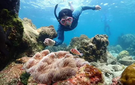 Snorkeling Full Day Experience from Bangkok