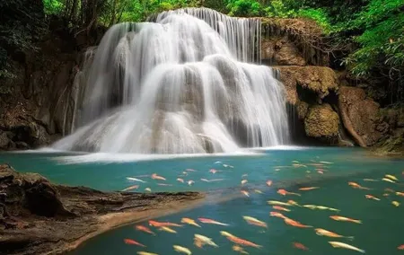 Erawan Waterfall and Death Railway Train Riding from Bangkok