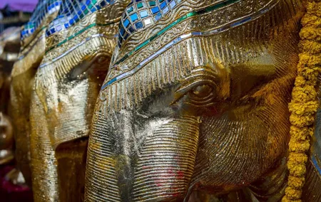 Bangkok Photography Masterclass - Private Photography Lesson
