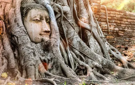 Best of Ayutthaya Private Guided Day Tour