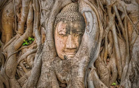 Ayutthaya Sunset Join Tour, Boat Ride, Famous Spot & Local Market