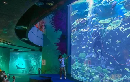 SEA LIFE Bangkok Ocean World Admission with Private Transfer
