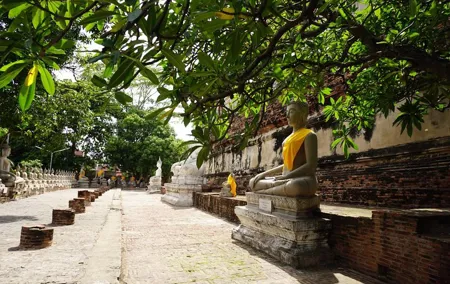 Ayutthaya Evening Tour with Dinner