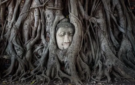 Ayutthaya Famous Temples Tour plus Floating Market and ATV Ride