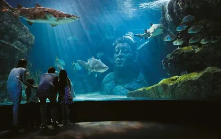 Bangkok SEA LIFE & Madame Tussauds Combo with Hotel Transfers
