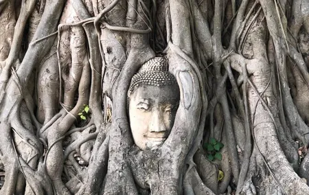 Ayutthaya One Day Tour go by Coach - back by River Cruise - Grand Pearl Cruise