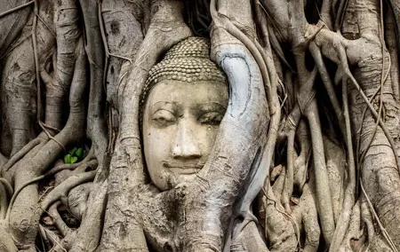 Day trip to Ayutthaya and Bang Pa-in Palace