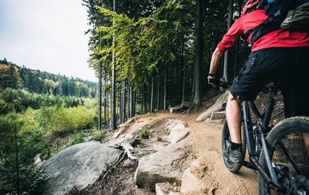 Small group Guided Mountain Bike Tour From Prague