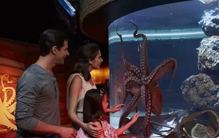 Sea Life Ocean World Bangkok Entrance Tickets