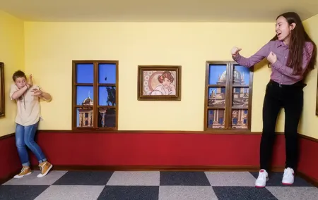Museum of Fantastic Illusions Entry Ticket