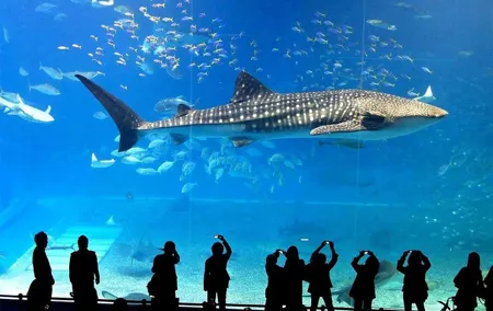 SEA LIFE Ocean World in Bangkok Admission Ticket