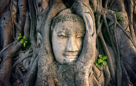 Private Ayutthaya Temples Tour - One day trip