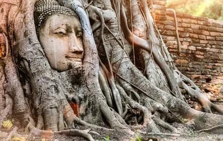Private Guided Day Tour of the Ancient Ayutthaya