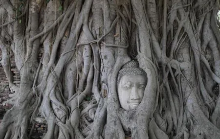 Ayutthaya Sunset Boat Ride & Famous Attractions Tour - Bangkok