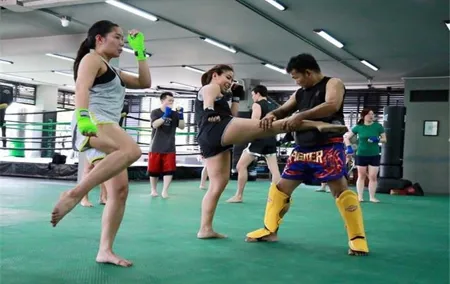 Muay Thai (Thai boxing) Lesson With Private Transfer From Bangkok