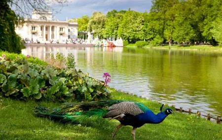 Best of Warsaw Full-Day Private Tour with Transport & Ticket