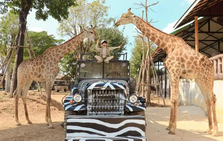 New Zoo in Ayuthaya Must See Temples and Thai Costume