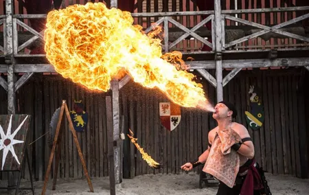 Medieval Dinner Show Castle and Brewery Tour with Hotel pick up