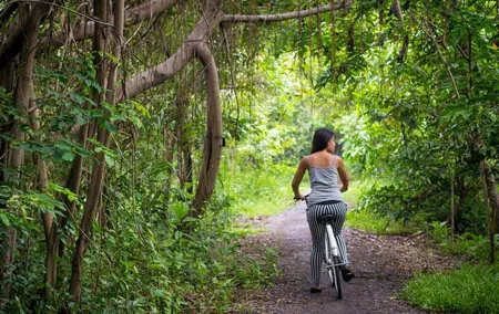 Explore Bangkok’s Best Parks on Two Wheels