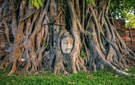 Ayutthaya Top Attraction & Scenic Boat Ride from Train Station